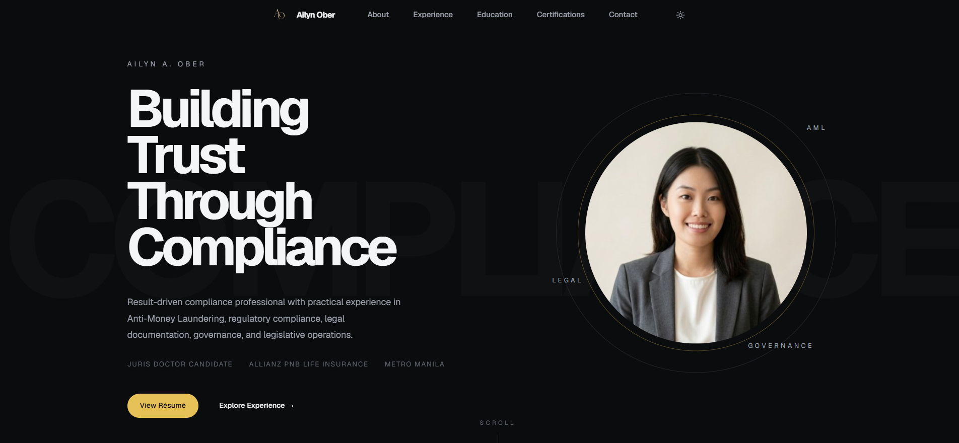 Portfolio Website preview